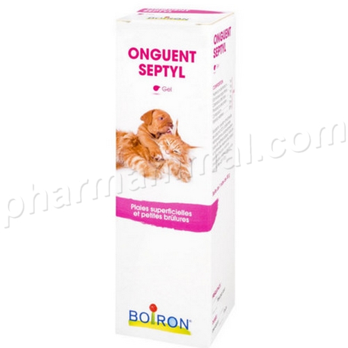 ONGUENT SEPTYL FL/30 ML